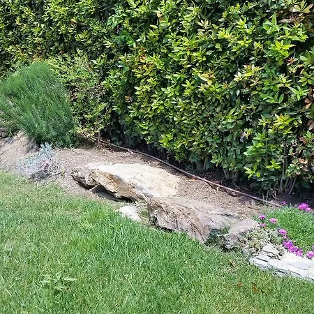 Sofia * Marina di Campo