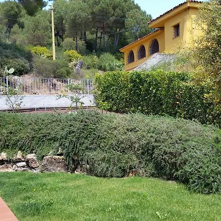 Sofia Dom wakacyjny Marina di Campo