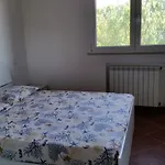 Sofia * مارينا دي كامبو