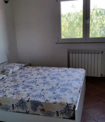 Sofia * مارينا دي كامبو